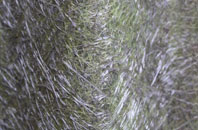 Stewartstown fibreglass roof work